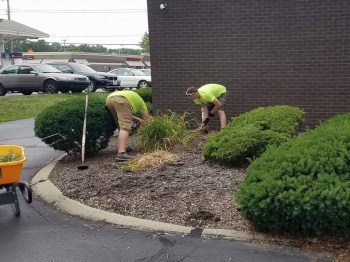 Commercial Bed Maintenance