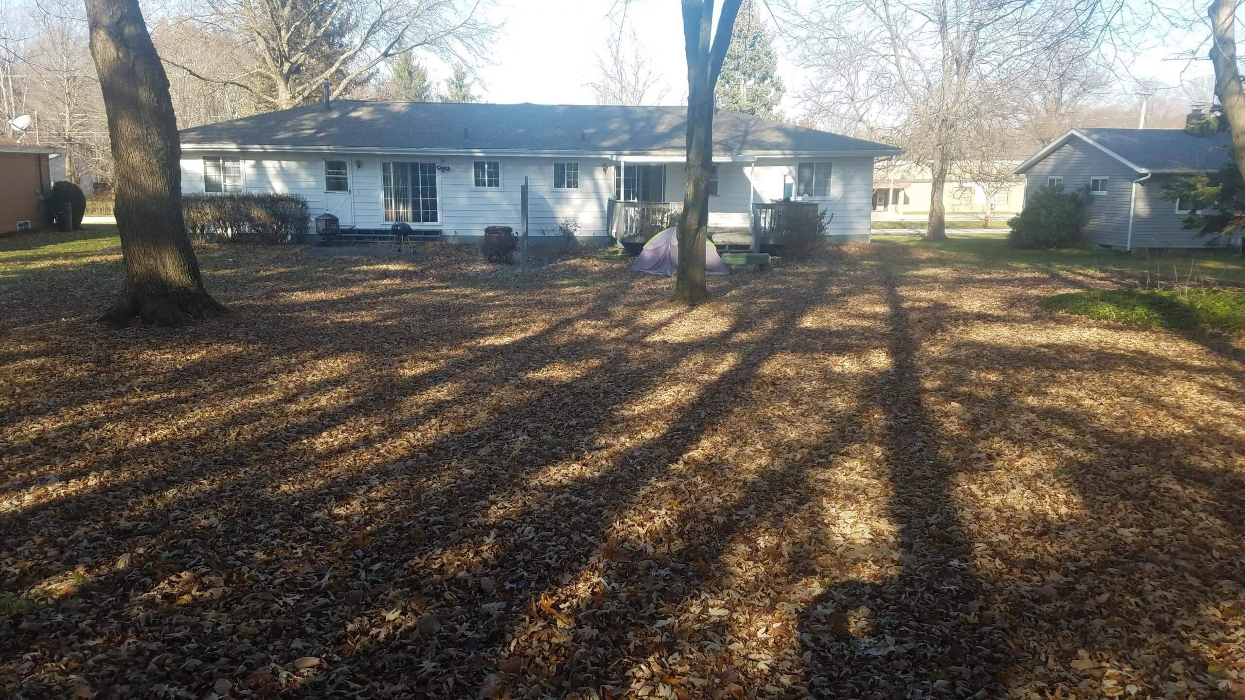leaves cleaned up in tallmadge